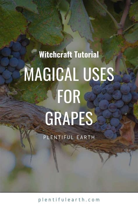 Grape Witchcraft and Herbalism: Incorporating Grape Leaves and Vines into Spells